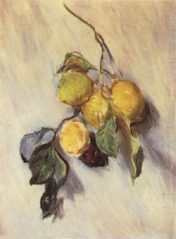 Branch from a Lemon Tree, Claude Monet